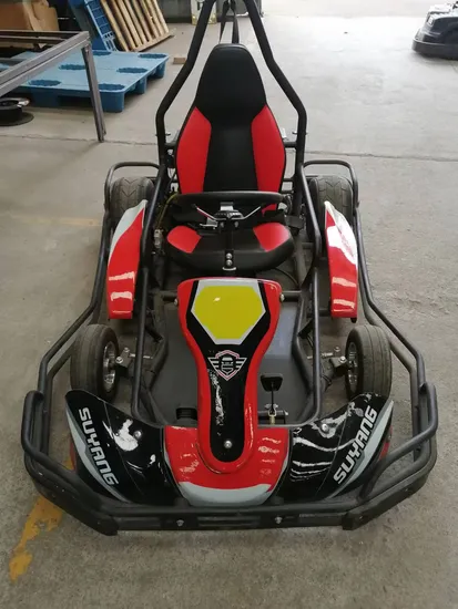 Kart de pedales de carreras Suyang 1000W*2 para adolescentes en oferta