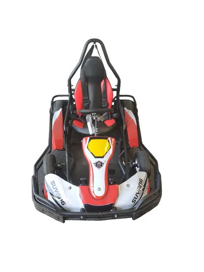 Karts eléctricos de alta calidad para parques de atracciones, mini karts de pedales para adultos.
